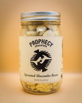 Sprouted Macambo Beans image 0