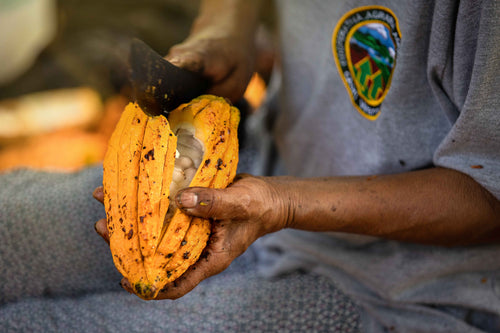 Ceremonial Cacao image 2