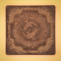 Washed Cacao image 0